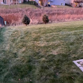 Leaf Removal by Lawn Busters LLC reviewed on November 11, 2024