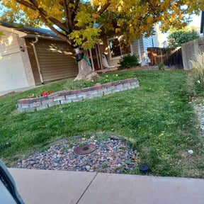 Leaf Removal by KJ &amp; Co reviewed on November 22, 2024