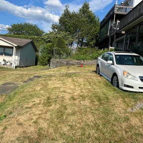 Cleanups by J&M Mowing reviewed on May 15, 2025