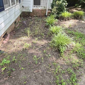 Leaf Removal by S&G lawncare service llc reviewed on June 7, 2022