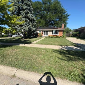 Cleanups by Improved lawns reviewed on July 29, 2022