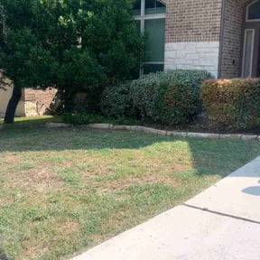 Bush Trimming by R &M landscaping. reviewed on March 12, 2025