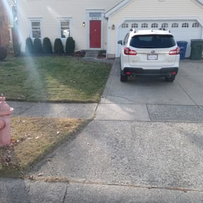 Leaf Removal by Twins lawn care reviewed on June 30, 2025