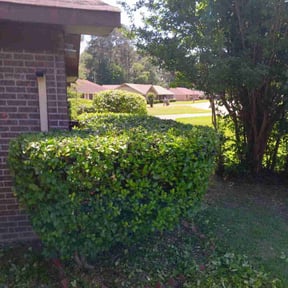 Bush Trimming by Vanlandingham Lawn Care & Services reviewed on May 8, 2022
