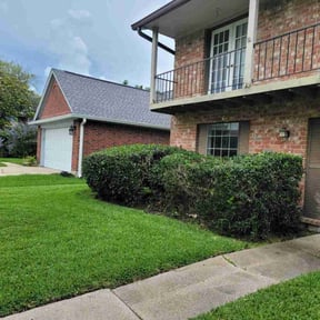 Bush Trimming by Cutta's landscaping & lawn services reviewed on August 13, 2021