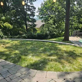 Lawn Seeding by Hooper House LLC reviewed on November 23, 2021