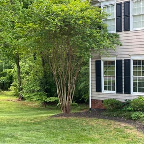 Bush Trimming by Grateful Green Lawn Care reviewed on May 15, 2022