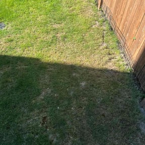 Lawn Seeding by Matt's Lawn Mowing reviewed on June 21, 2022
