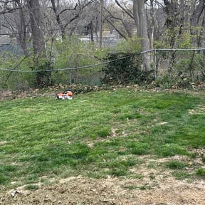 Bush Trimming by PNC Delivery Express reviewed on October 3, 2024