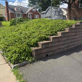 Bush Trimming by Serenity Lawn Care and Property Maintenance reviewed on July 7, 2022