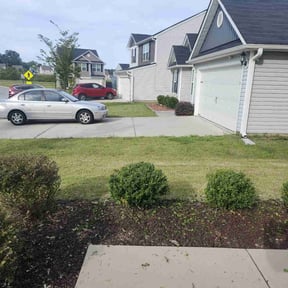 Bush Trimming by CQC reviewed on August 3, 2022