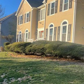 Bush Trimming by MelMar Lawn Care reviewed on March 3, 2022