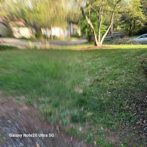 Cleanups by Ortega lawn services LL reviewed on July 7, 2022
