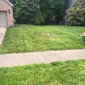 Cleanups by Omaha Lawnscaping Solutions reviewed on August 3, 2022