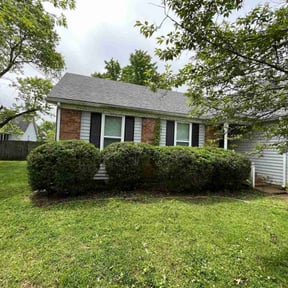 Bush Trimming by MowBros reviewed on May 20, 2025