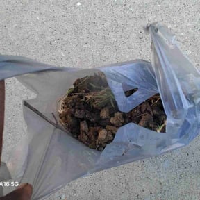 Cleanups by Landscape reviewed on April 13, 2025