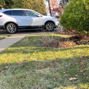Leaf Removal by Cooper and pals reviewed on May 22, 2022