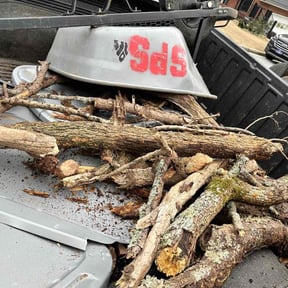 Leaf Removal by TruGreen LawnCare reviewed on June 17, 2025