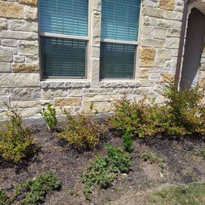 Flower Bed Weeding by Marcus Perry reviewed on July 29, 2022