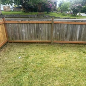 Weeding by james lawn service reviewed on June 17, 2022