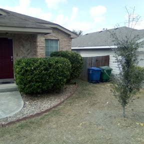 Bush Trimming by Tafolla Home Repairs and Landscaping reviewed on April 8, 2025