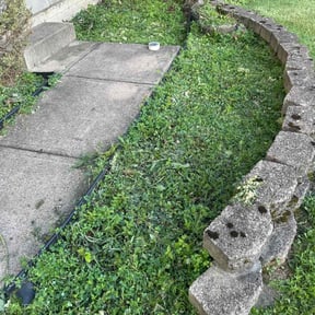 Flower Bed Weeding by Tripps lawn reviewed on June 3, 2022