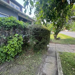 Bush Trimming by GreenThumb Landscaping reviewed on July 21, 2022