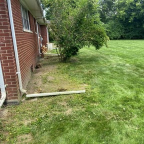 Cleanups by Landscape Management reviewed on June 13, 2022