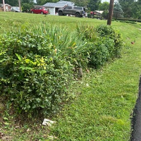 Bush Trimming by FS Lawncare reviewed on February 27, 2025