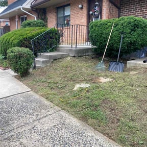 Bush Trimming by Hinks Lawn Care reviewed on September 7, 2024