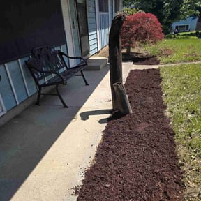 Bush Trimming by John Taylor reviewed on June 28, 2022