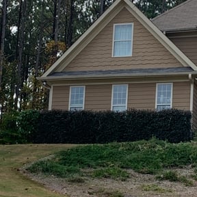 Bush Trimming by 662 Grass Monkey Lawn SVC reviewed on October 22, 2021