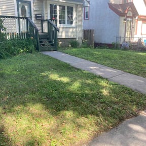 Cleanups by Hands On Grounds Maintenance & Development reviewed on November 6, 2023