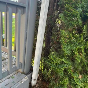 Bush Trimming by JDB Landscaping Services reviewed on November 7, 2024
