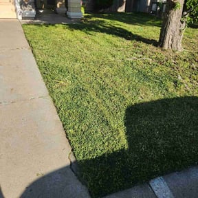Cleanups by Mow & Go reviewed on June 6, 2022
