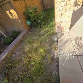 Bush Trimming by Gutter Magic reviewed on May 28, 2022