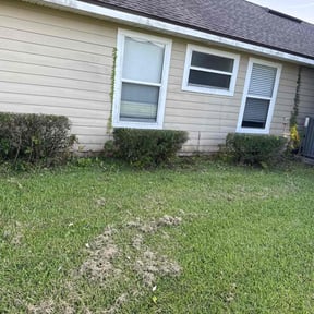 Bush Trimming by Brooks lawn Care reviewed on July 30, 2022