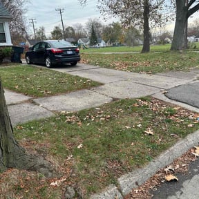 Leaf Removal by A&S Landscaping and Snow Removal reviewed on May 9, 2022