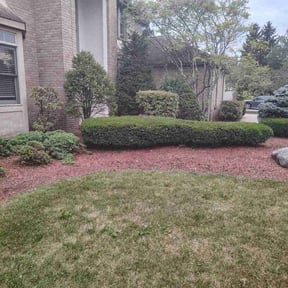 Bush Trimming by Meridian Management Group LLC reviewed on May 2, 2022