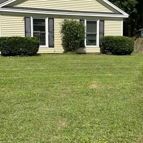 Bush Trimming by Kingsmen Lawn Service reviewed on July 6, 2022
