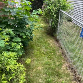 Leaf Removal by Theee A'S landscaping reviewed on May 5, 2022