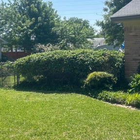 Bush Trimming by Superior Landscape & Maintenance, Inc. reviewed on July 15, 2020