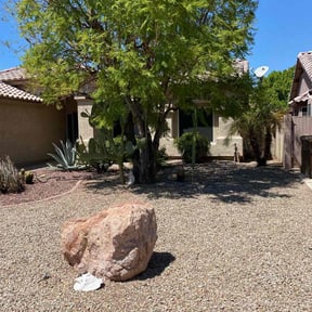 Leaf Removal by Phil’s Yard Clean Up reviewed on June 19, 2020