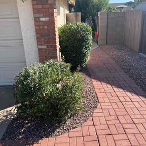 Bush Trimming by maintenance and landscaping reviewed on May 23, 2025