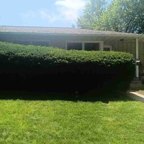 Bush Trimming by A&D lawncare reviewed on May 4, 2022