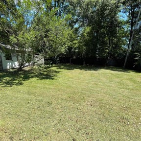 Leaf Removal by Buddy's Mow Blow &amp; Go Lawncare reviewed on July 2, 2025