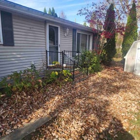 Bush Trimming by MVP Services and Lawn care6 reviewed on April 3, 2022
