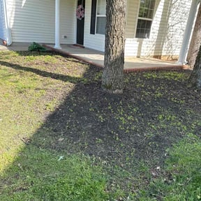 Leaf Removal by Three brothers lawn care reviewed on August 24, 2024
