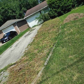 Cleanups by Mojica Lawn Care reviewed on July 27, 2022