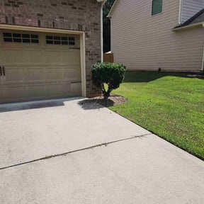 Bush Trimming by T&amp;L Landscaping reviewed on August 2, 2024